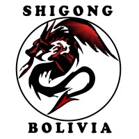 Shigong Bolivia SRL. logo - Similar company to Vreality Bolivia