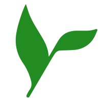 Plucky Bamboo logo - Similar company to Fandango Digital Ltd