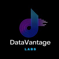 DataVantage Labs logo - Similar company to Datavantage