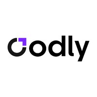Codly IT logo - Similar company to Sea-Tech Software