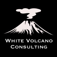 White Volcano Pte Ltd logo - Similar company to Mypinpad