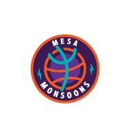 Mesa Monsoons Basketball logo - Similar company to Valley Suns