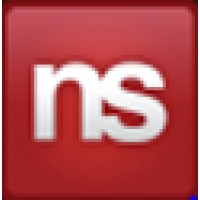 Netsoft USA (Acquired by EPAM Systems) logo - Similar company to Ant Recruiting
