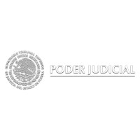 Poder Judicial del Estado de Puebla logo - Similar company to Bonum Consorcio