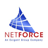Netforce Ltd logo - Similar company to Netforce