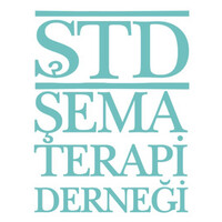 Şema Terapi Derneği logo - Similar company to Psikonet