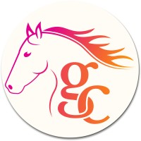 Gonizianer Consulting SL logo - Similar company to Onyx Power