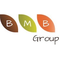 BMB Group logo - Similar company to Techway Gmbh