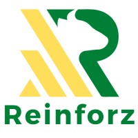 Reinforz Inc logo - Similar company to Synapse Project