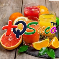 Mais Que Suco logo - Similar company to Loja De Suco
