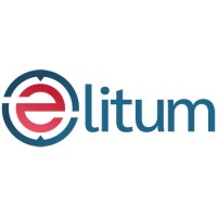Elitum logo - Similar company to Elitum Group