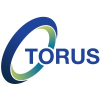 Torus logo - Similar company to Esk Control Ltd