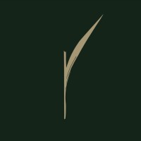 Rare Earth Global logo - Similar company to Macrovesta