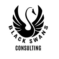 Black Swans Consulting logo - Similar company to Al Imane Software & Apps