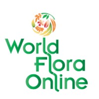 World Flora Online logo - Similar company to Irisbg