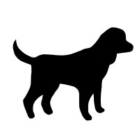 Foodstainable logo - Similar company to Conexedu