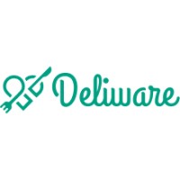deliware logo - Similar company to Amirtoso
