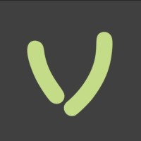 Vigispec logo - Similar company to Instituto Teckids