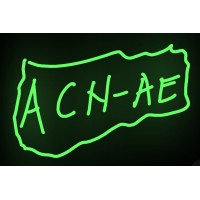 Afro Career Network -UAE logo - Similar company to Ae Engineering & Construction