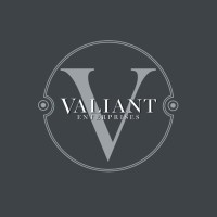 Valiant Enterprises Inc logo - Similar company to Summit Strive Consulting