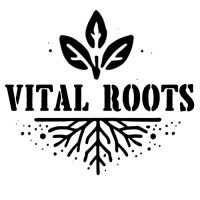 Vital Roots Foundation logo - Similar company to Link Revenue Resources, Llc