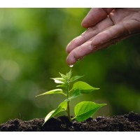 Surepoint Insurance logo - Similar company to Insurepointe Of Texas