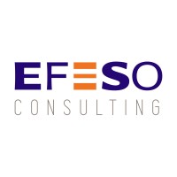 EFESO China logo - Similar company to Efeso Nordics