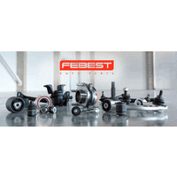 Febest Kenya LTD logo - Similar company to Fiot Filter--Feiyoute Filter