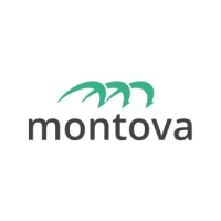 Montova logo - Similar company to Roots