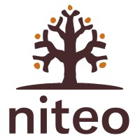 Niteo Africa logo - Similar company to Northern Cherries
