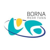 Borna Mehr Fann logo - Similar company to 247Pro