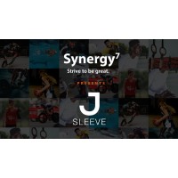 Synergy(7)Svn logo - Similar company to Bond