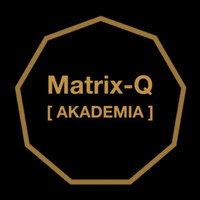 Matrix-Q Akademia logo - Similar company to Transito Study Association