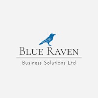 Blue Raven Business Solutions Ltd logo - Similar company to The Brass Pig