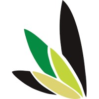 Madani Technology Jogja logo - Similar company to Hrd Bikincabang
