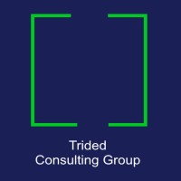 Trided Consulting Group logo - Similar company to Ar Arquitectos