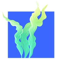 Seaweed Studio logo - Similar company to Bear Island Distributors