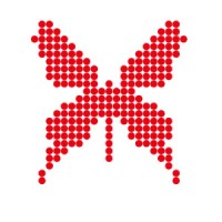 Human Perspectives International Latam