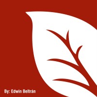 WOOD CONCEPT S.A. logo - Similar company to Force-Sos Panamá