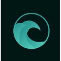 Azure Tide Holdings logo - Similar company to Azure Tide