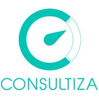 Consultiza SL logo - Similar company to Hydrabroker