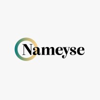 Nameyse logo - Similar company to Realmai