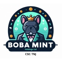 Boba Mint Holdings Ltd logo - Similar company to Rbl Communications