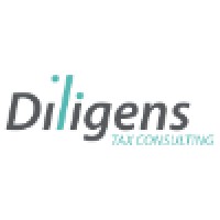 DILIGENS TAX CONSULTING, SL logo - Similar company to Tecasem