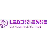 LeadsSense logo - Similar company to Leadsgrow