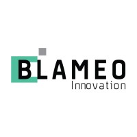 BLAMEO Technology logo - Similar company to Investidea, A Globaldev Member