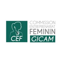 Cef_gicam logo - Similar company to M@G Consulting