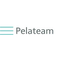 Pelateam logo - Similar company to Pela Design