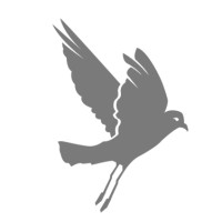 Petrel logo - Similar company to Ex-Tech Signalling