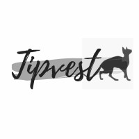 TIPVEST PTY LTD logo - Similar company to Fine Automation